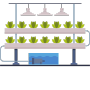 Hydroponics Farming
